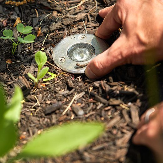 Landscape Lighting Installation in Newton MA